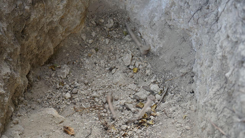 İstanbul'da define için mezarları altüst eden şüphelinin ifadesi şoke etti! - Resim: 4