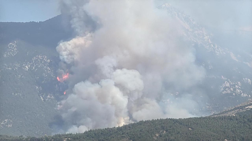 Denizli'de büyük orman yangını: Rüzgarın etkisiyle hızla yayıldı - Resim: 4
