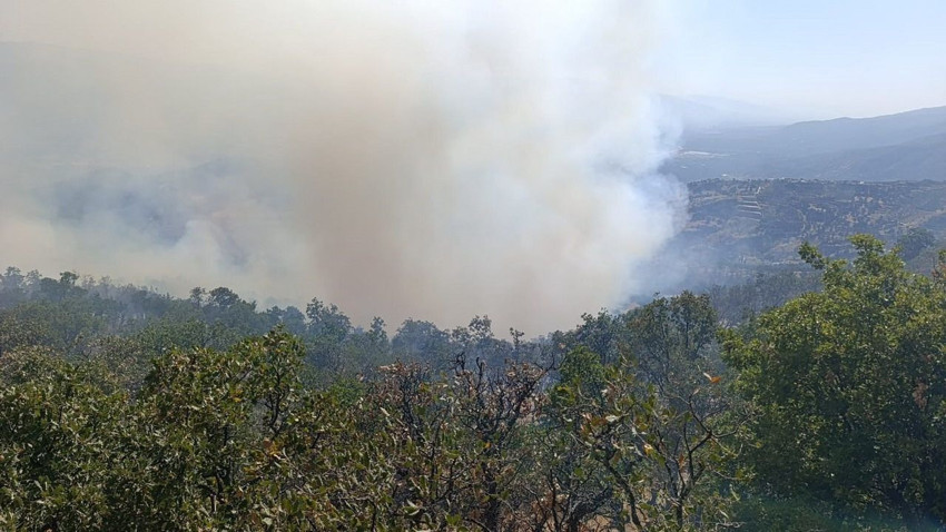 Denizli'de orman yangını; alevler yön değiştirdi, bir ilçe alevlerin kıskacında - Resim: 4