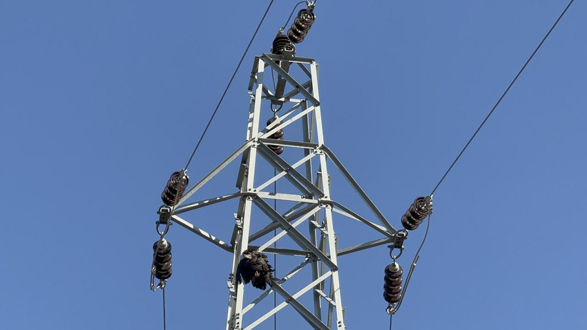 Karabük'teki büyük orman yangınında kafaları karıştıran ''kargalar'' detayı - Resim: 1