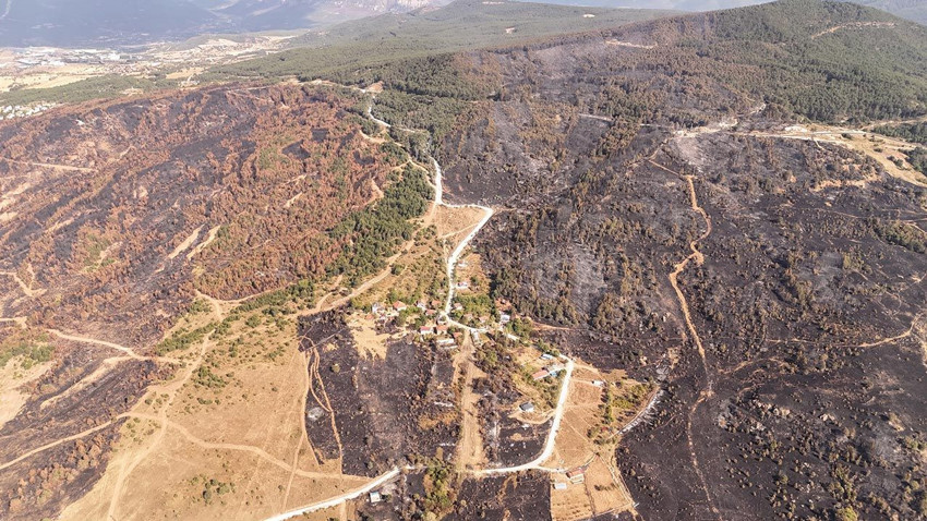 Karabük'teki büyük orman yangınında kafaları karıştıran ''kargalar'' detayı - Resim: 4