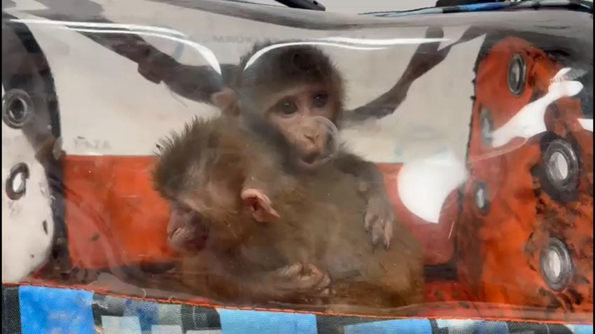 Türkiye'ye kaçak yollarla sokulurken korkudan birbirlerine sarılmış halde bulundular - Resim: 2