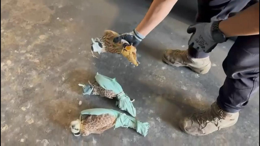 Türkiye'ye kaçak yollarla sokulurken korkudan birbirlerine sarılmış halde bulundular - Resim: 4