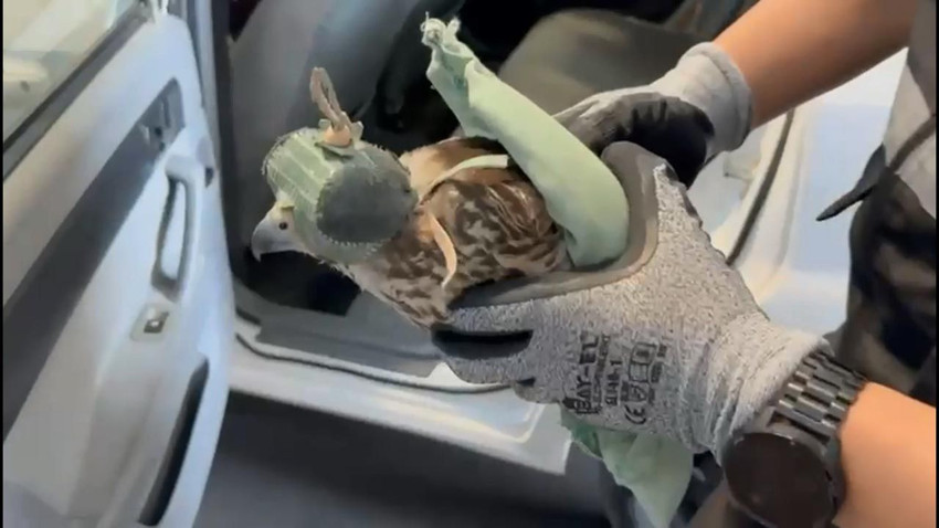 Türkiye'ye kaçak yollarla sokulurken korkudan birbirlerine sarılmış halde bulundular - Resim: 3