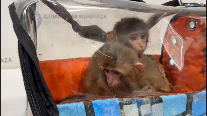 Türkiye'ye kaçak yollarla sokulurken korkudan birbirlerine sarılmış halde bulundular - Resim: 1