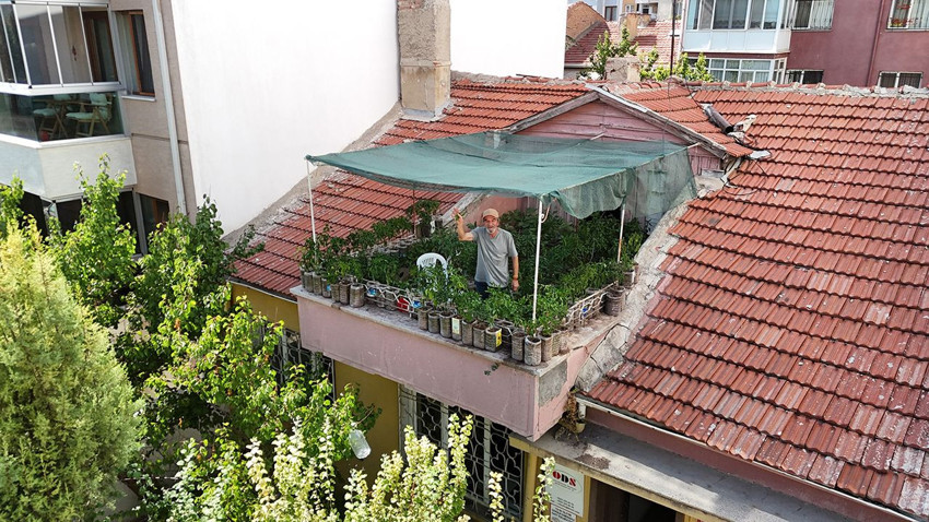 18 metrekarelik terasını tarlaya dönüştürdü, gören gözlerine inanamıyor - Resim: 1