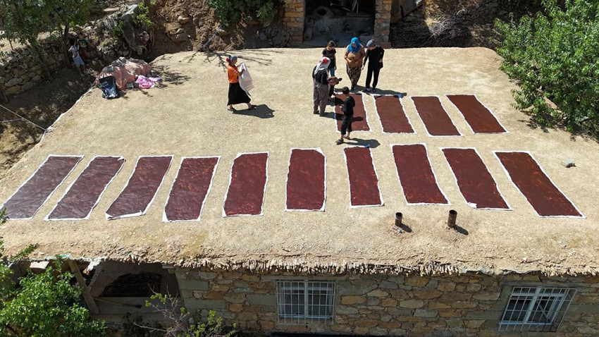 Türkiye'ye özel şifa ve güç kaynağı 3 bin rakımlı dağdan yola çıktı, tezgahlara geliyor! - Resim: 1