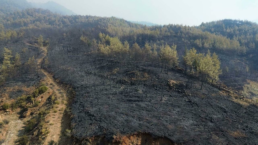 Maviyle yeşilin buluştuğu Türkiye'nin cenneti orman yangınında kömür karasına döndü - Resim: 3