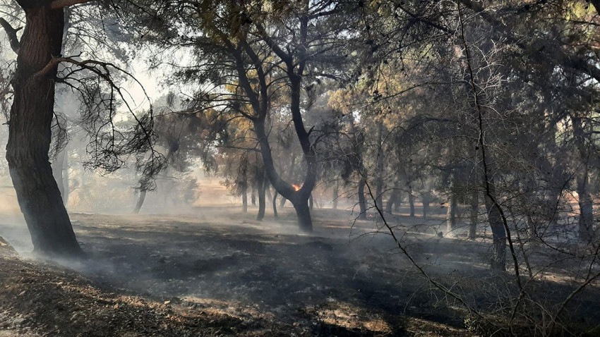 Çanakkale'deki orman yangınında orman işçileri alevlerin içinde mahsur kaldı - Resim: 3