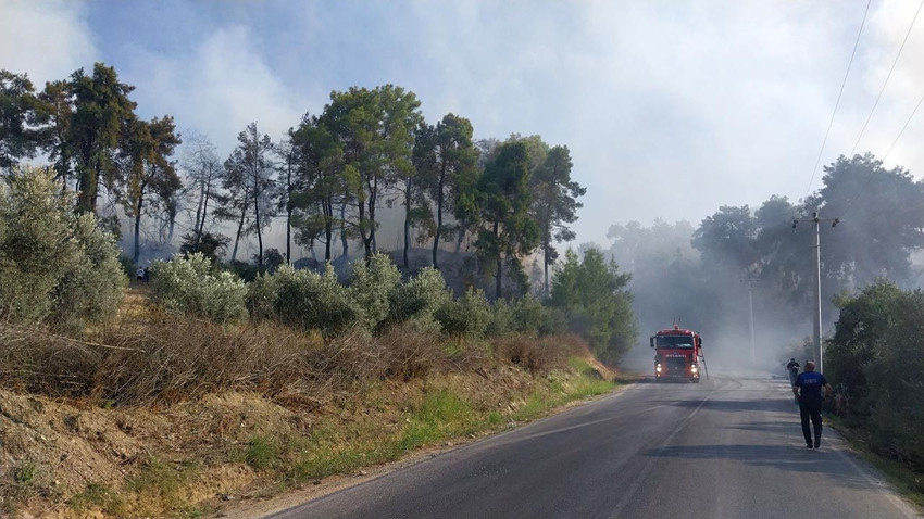 Antalya'da orman yangını - Resim: 3