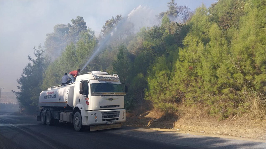 Antalya'da orman yangını - Resim: 2