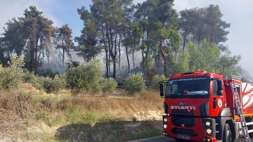 Antalya'da orman yangını - Resim: 4