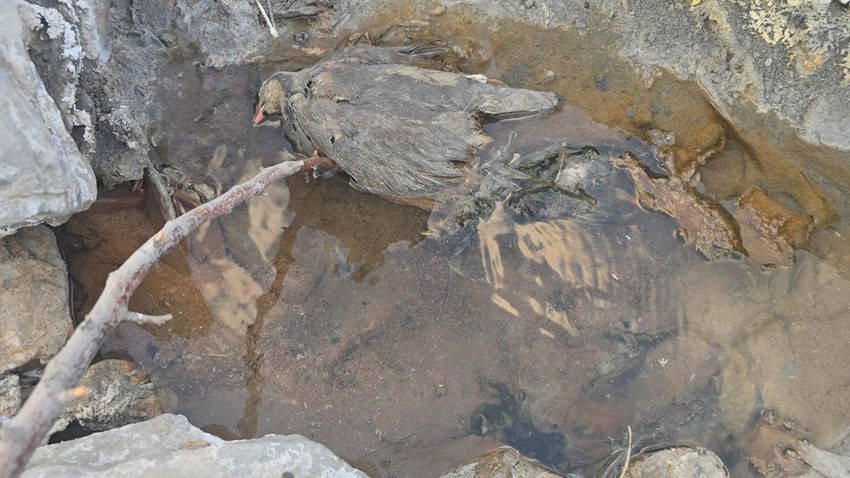 Türkiye'nin gizemli noktası merak konusu oldu: Hem şifa dağıtıyor hem ölüm saçıyor - Resim: 1