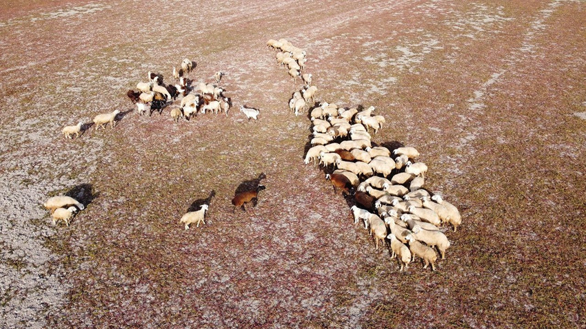 Bu çöl aslında düne kadar Türkiye'nin masmavi bir cennetiydi... - Resim: 1