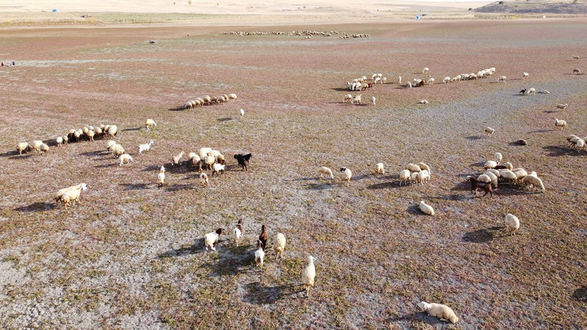 Bu çöl aslında düne kadar Türkiye'nin masmavi bir cennetiydi... - Resim: 2