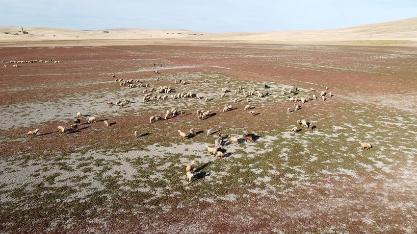 Bu çöl aslında düne kadar Türkiye'nin masmavi bir cennetiydi... - Resim: 3