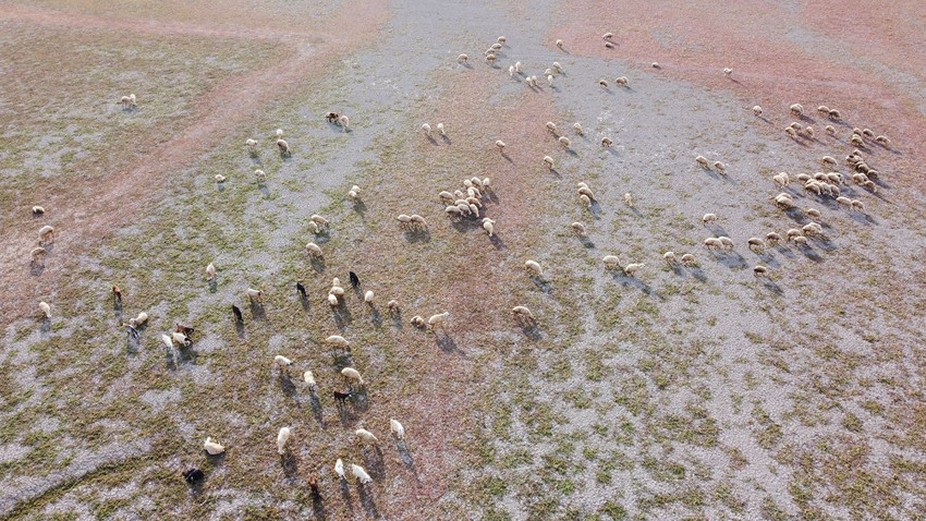 Bu çöl aslında düne kadar Türkiye'nin masmavi bir cennetiydi... - Resim: 4