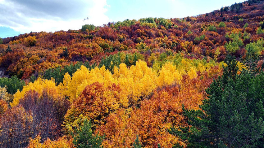 Masallar diyarı gibi... Sonbahar tonlarına bürünen Geminbeli Geçidi hayran bıraktı - Resim: 4