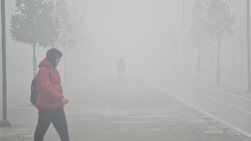 ''Sessiz katil'' Türkiye'de bir yılda 62 bin can aldı! - Resim: 3