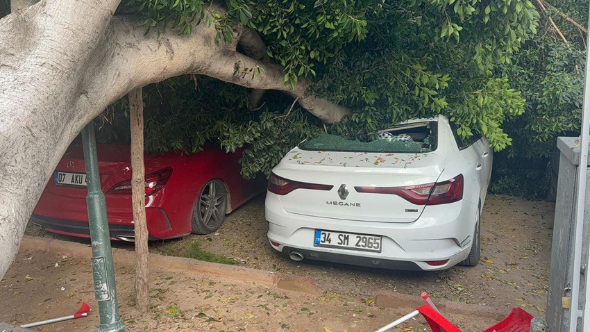 Kökünden sökülen dev ağaç 5 aracın üzerine devrildi - Resim: 3