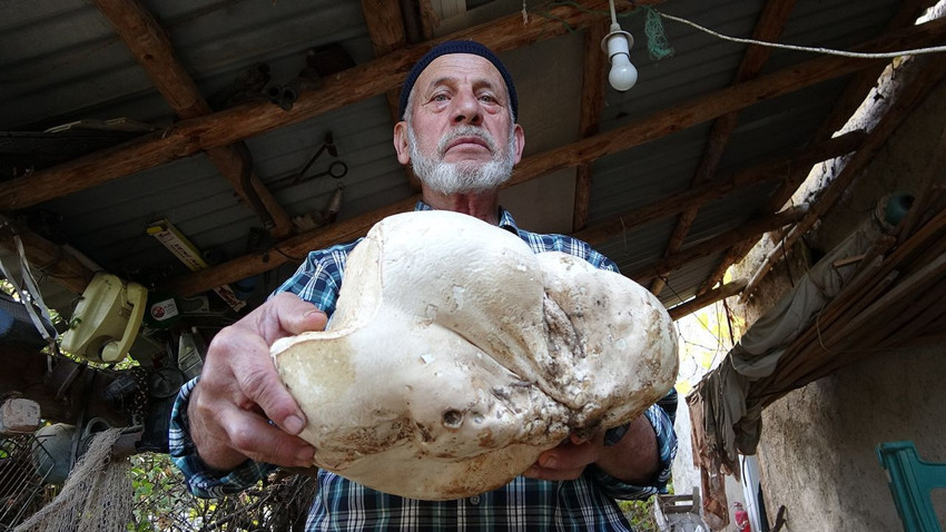 Türkiye'de bir dev şans eseri bulundu: Gören gözlerine inanamadı - Resim: 1