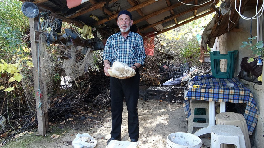 Türkiye'de bir dev şans eseri bulundu: Gören gözlerine inanamadı - Resim: 4