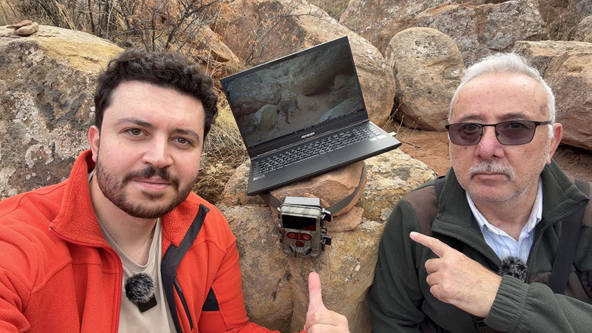 Türkiye'nin gizemli canlısı ormanın hayaletleri bu sefer ailece görüntülendi - Resim: 2