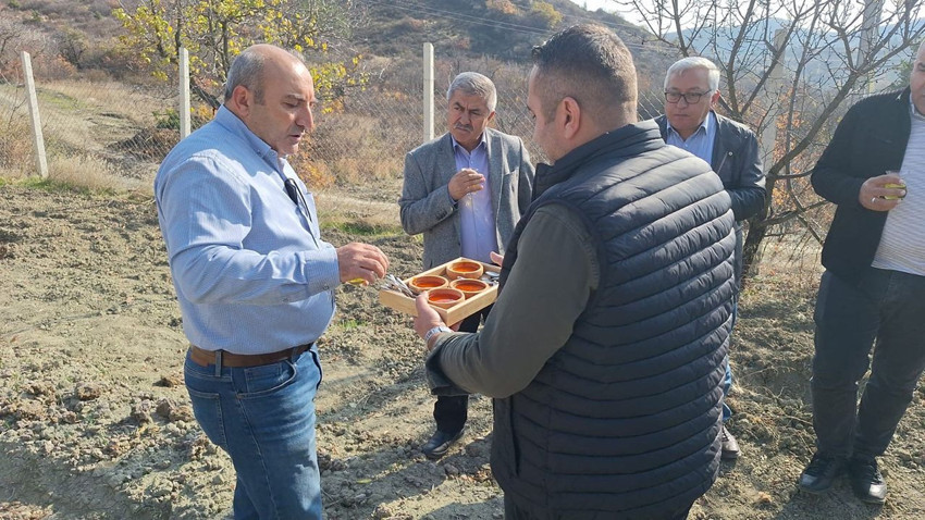 Denemek için ekmişti, şimdi kilosunu 600 bin TL'den satıyor - Resim: 4