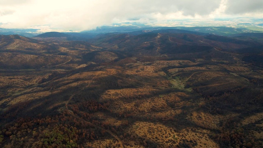 Yangınlarda cehenneme dönen 953 hektarlık cennetin son hali görüntülendi - Resim: 1