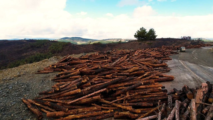 Yangınlarda cehenneme dönen 953 hektarlık cennetin son hali görüntülendi - Resim: 2