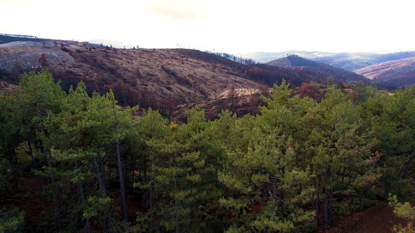 Yangınlarda cehenneme dönen 953 hektarlık cennetin son hali görüntülendi - Resim: 3