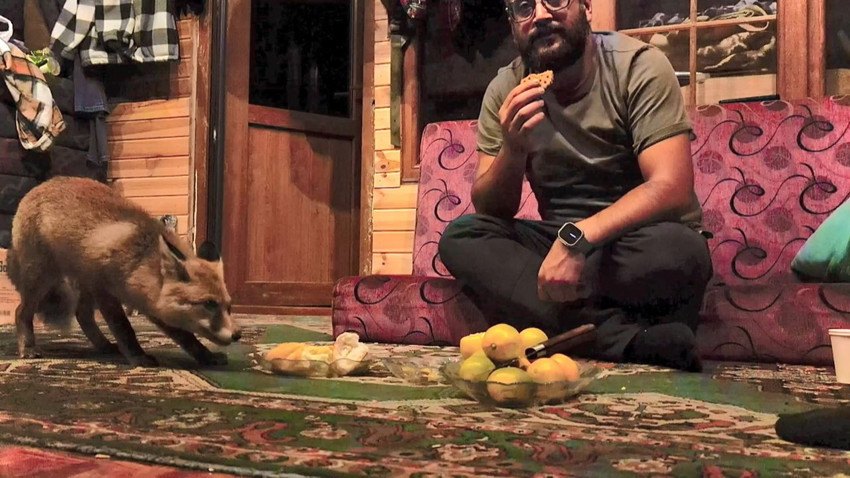 Vahşi yaşam ile insanoğlu arasındaki iletişimi anlatan film Türkiye'de gerçek oldu - Resim: 2