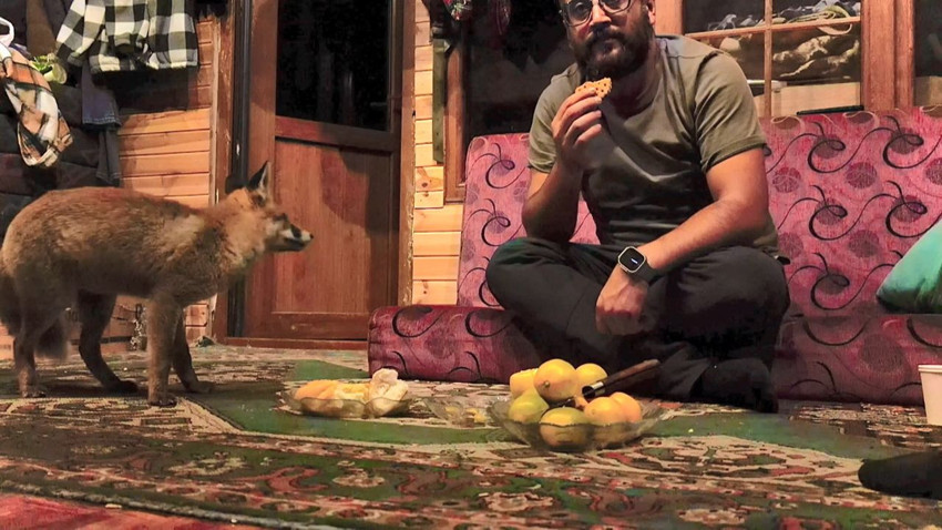 Vahşi yaşam ile insanoğlu arasındaki iletişimi anlatan film Türkiye'de gerçek oldu - Resim: 4