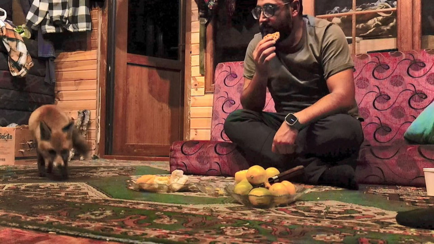 Vahşi yaşam ile insanoğlu arasındaki iletişimi anlatan film Türkiye'de gerçek oldu - Resim: 3