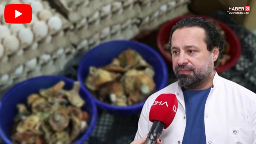 İstanbul'da ''Ölüm meleği'' tehlikesi: Bir ayda 60 kişi hastanelik oldu! - Resim: 1