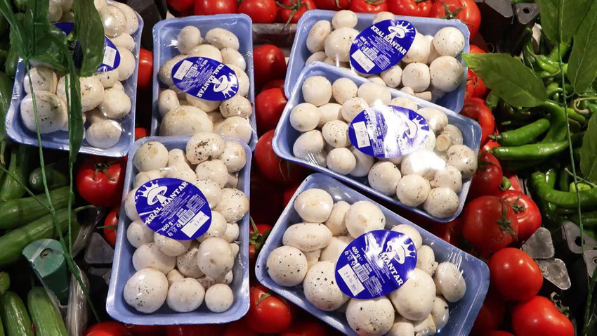 İstanbul'da ''Ölüm meleği'' tehlikesi: Bir ayda 60 kişi hastanelik oldu! - Resim: 2