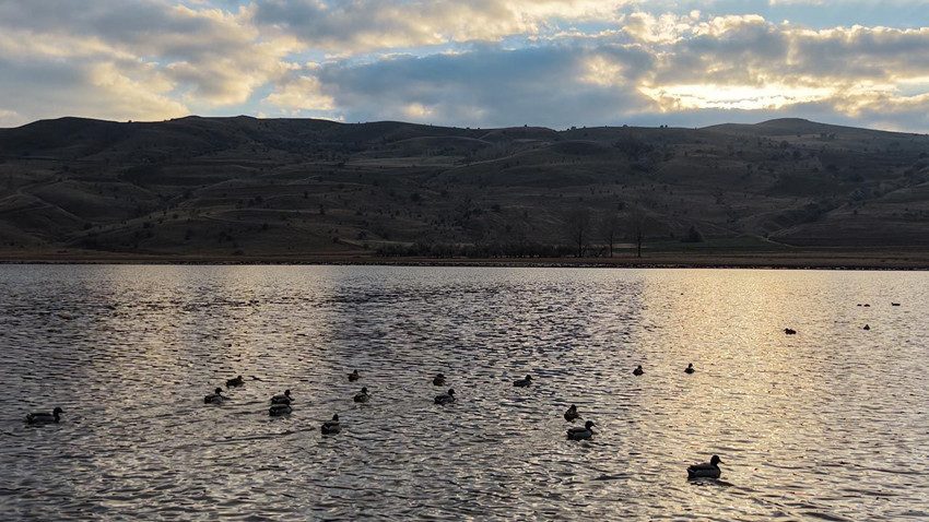 Geçen yıl çöle dönen gölde sevindiren manzara! Geri döndüler - Resim: 3