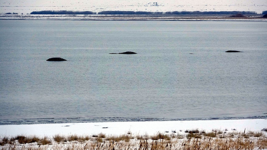 Türkiye'nin coğrafi haritası değiştiren gelişme... Van Göü yok oluyor, adacıklar ortaya çıktı! - Resim: 3