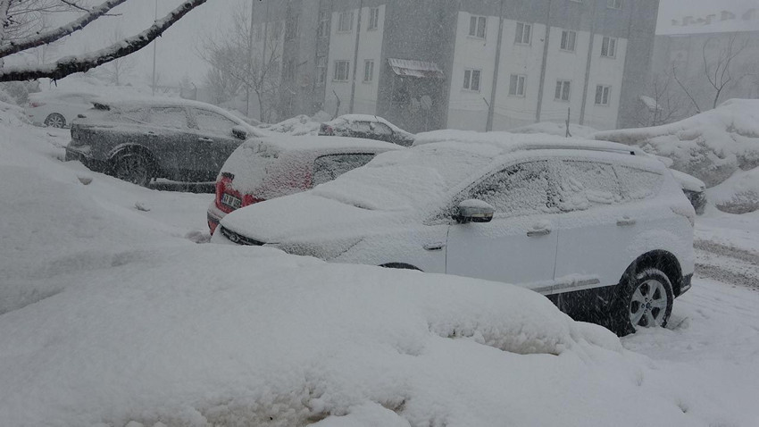 Bitlis'te kar bastırdı, hayat durma noktasına geldi - Resim: 3