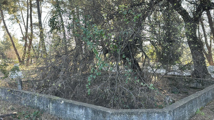 Akılalmaz hırsızlık! Türkiye'nin 2 asırlık gizemli adak taşı çalındı - Resim: 4