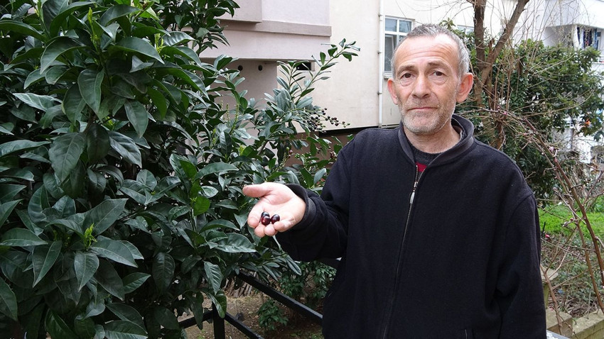 Mevsimler değişti, Türkiye'nin eşsiz lezzeti tam 3 ay erken ''merhaba'' dedi - Resim: 4