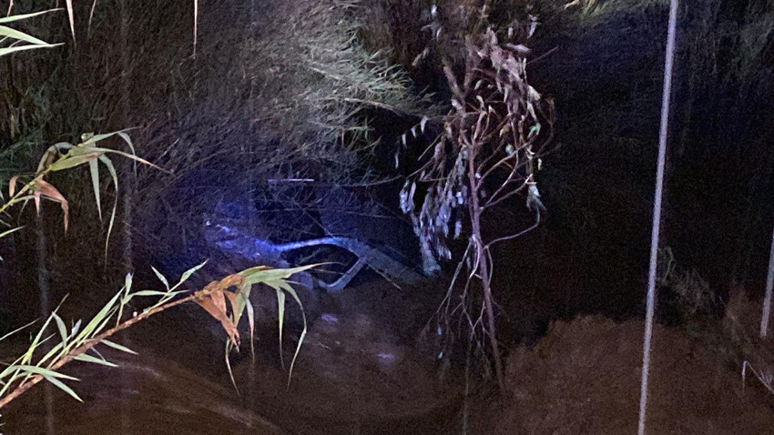 Aydın'da mucize kurtuluş: Dal parçasına tutunarak hayatta kaldı! - Resim: 3