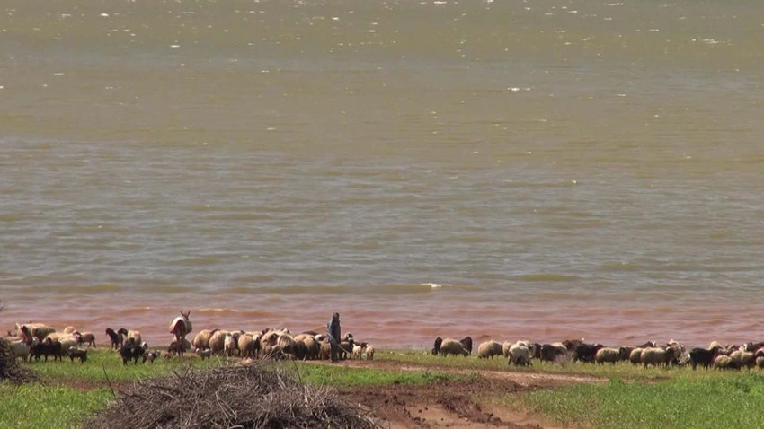 Reyhanlı Barajı rekor doluluk oranına ulaştı - Resim: 4