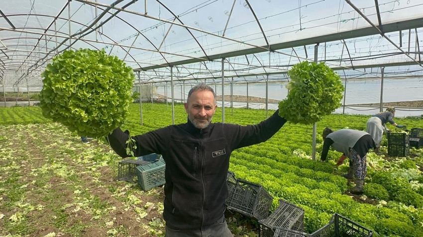 Ağlama sırası tüketicide! Fiyatı 6 kat arttı! Fiyatı geçen yıl 5 TL'ye kadar düşmüştü - Resim: 3