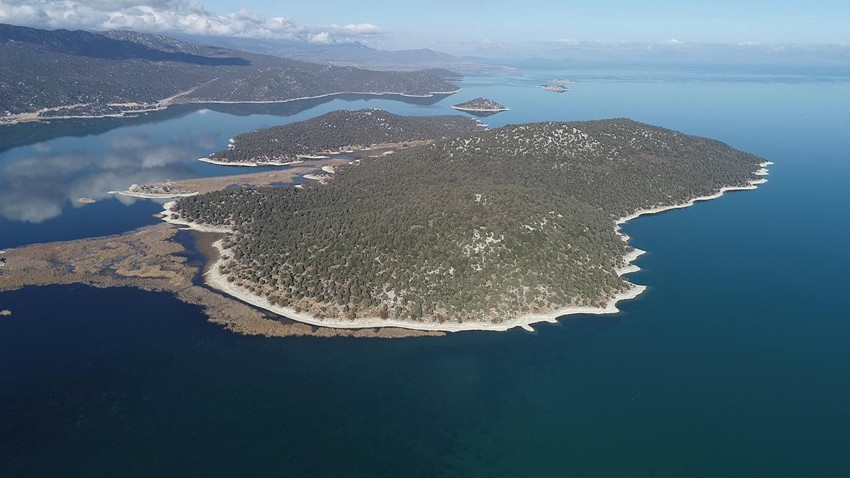 Yapay zeka teknolojisinin yakın tarihli gizli tehdidi ortaya çıktı: Uzmanlardan Korkutan Uyarı - Resim: 2
