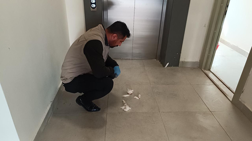 Adıyaman'da vahşet! Apartmanın girişinde parçalanmış halde bulundu - Resim: 3