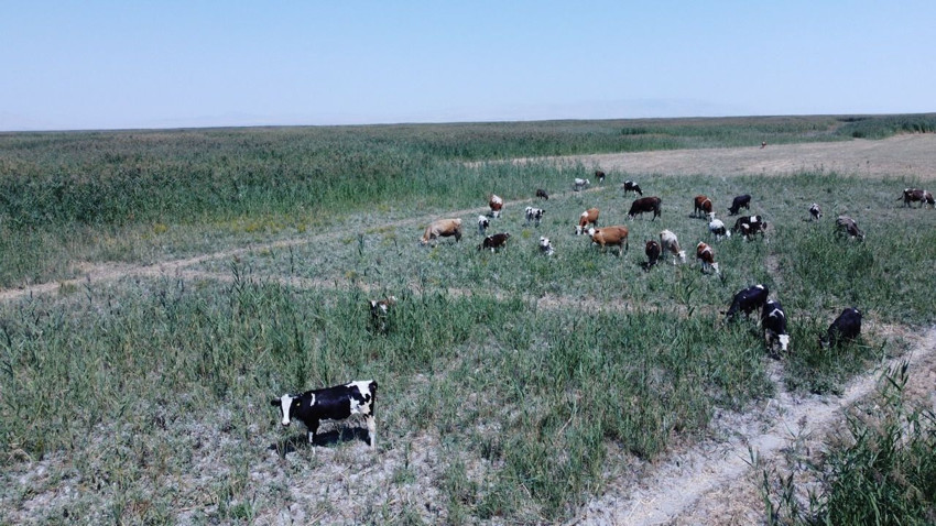 Nasreddin Hoca'nın mayası bu kez tuttu! 8 yıldır kuraklıkla yok olan cennet yeniden masmavi! - Resim: 4