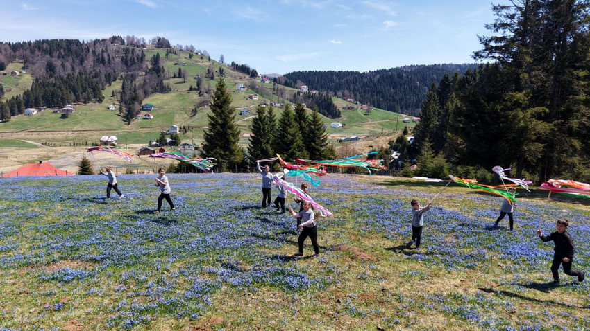 Karadeniz'in yemyeşil zirvesi masmavi oldu... Mavi yıldızlar görenleri büyüledi - Resim: 2