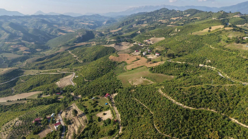 Adana'da 6 yıl önce yanan 2 bin 800 hektarlık orman yeniden yeşerdi - Resim: 3
