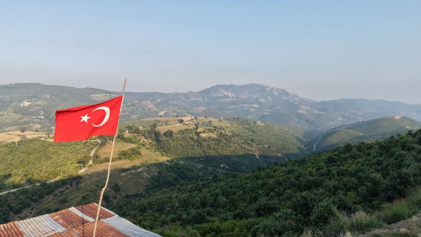 Adana'da 6 yıl önce yanan 2 bin 800 hektarlık orman yeniden yeşerdi - Resim: 4